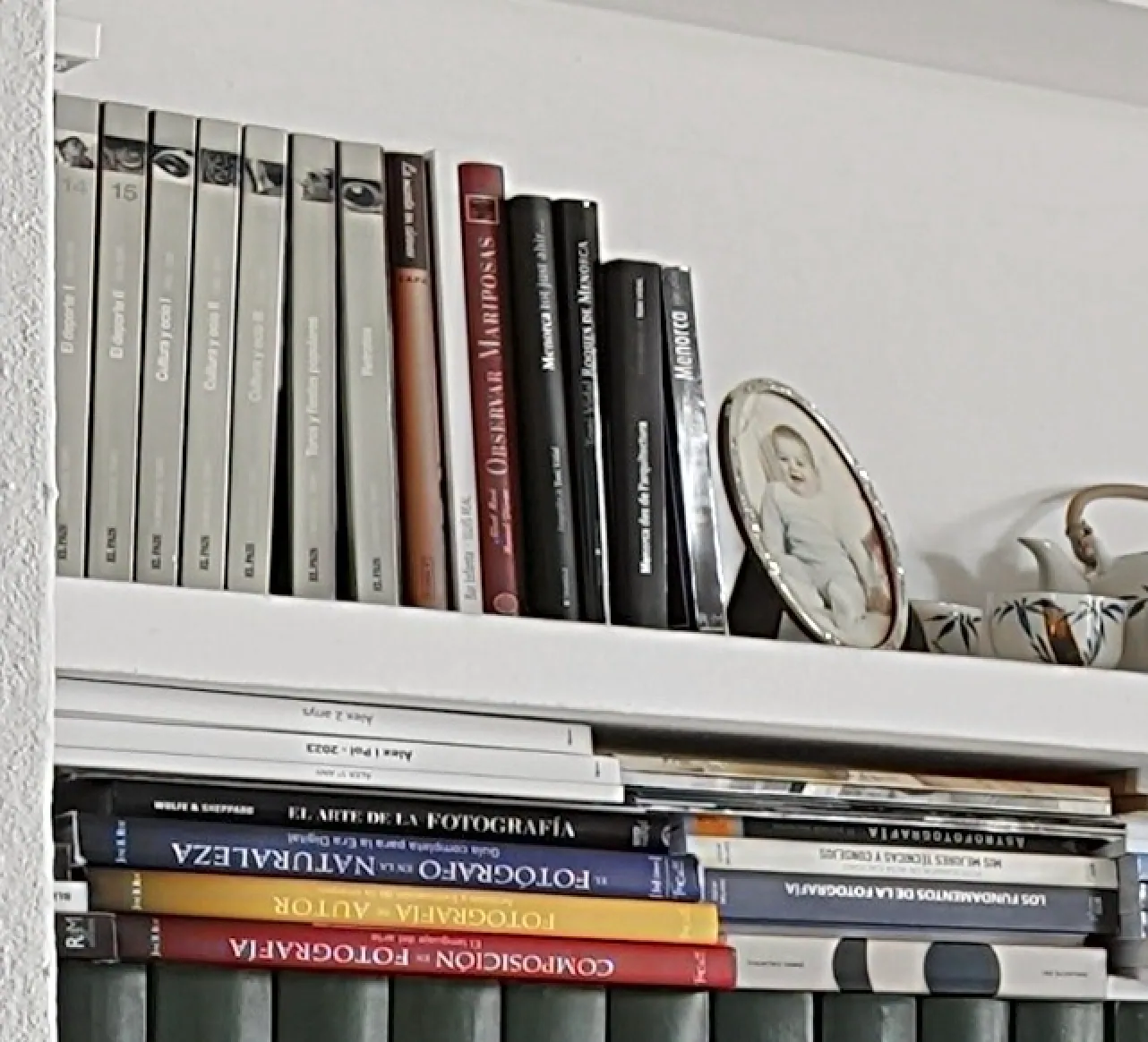 Zoomed-in crop of a bookshelf edited by Stager AI, with sharp, readable book titles