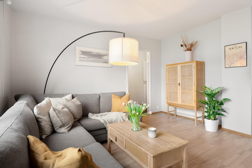 Open Plan virtual staging Stager AI vs Styldod
